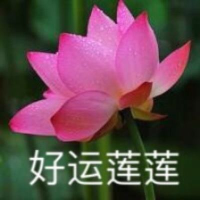 台媒：国民党主席拟年底访美